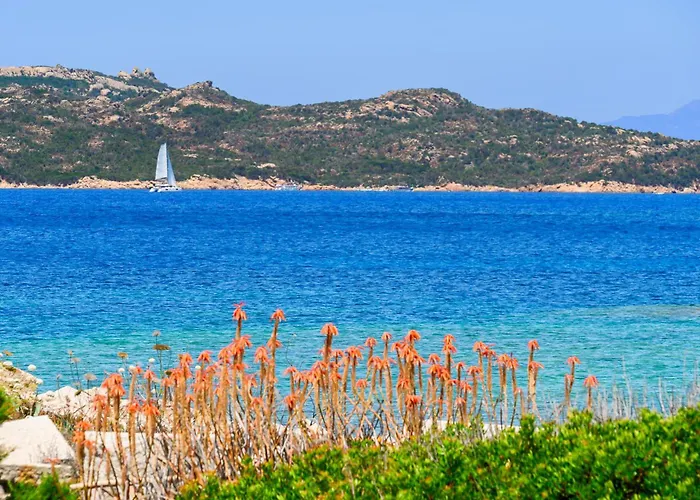 Principe E Principessa Della Cava - Sul Mare Daire *